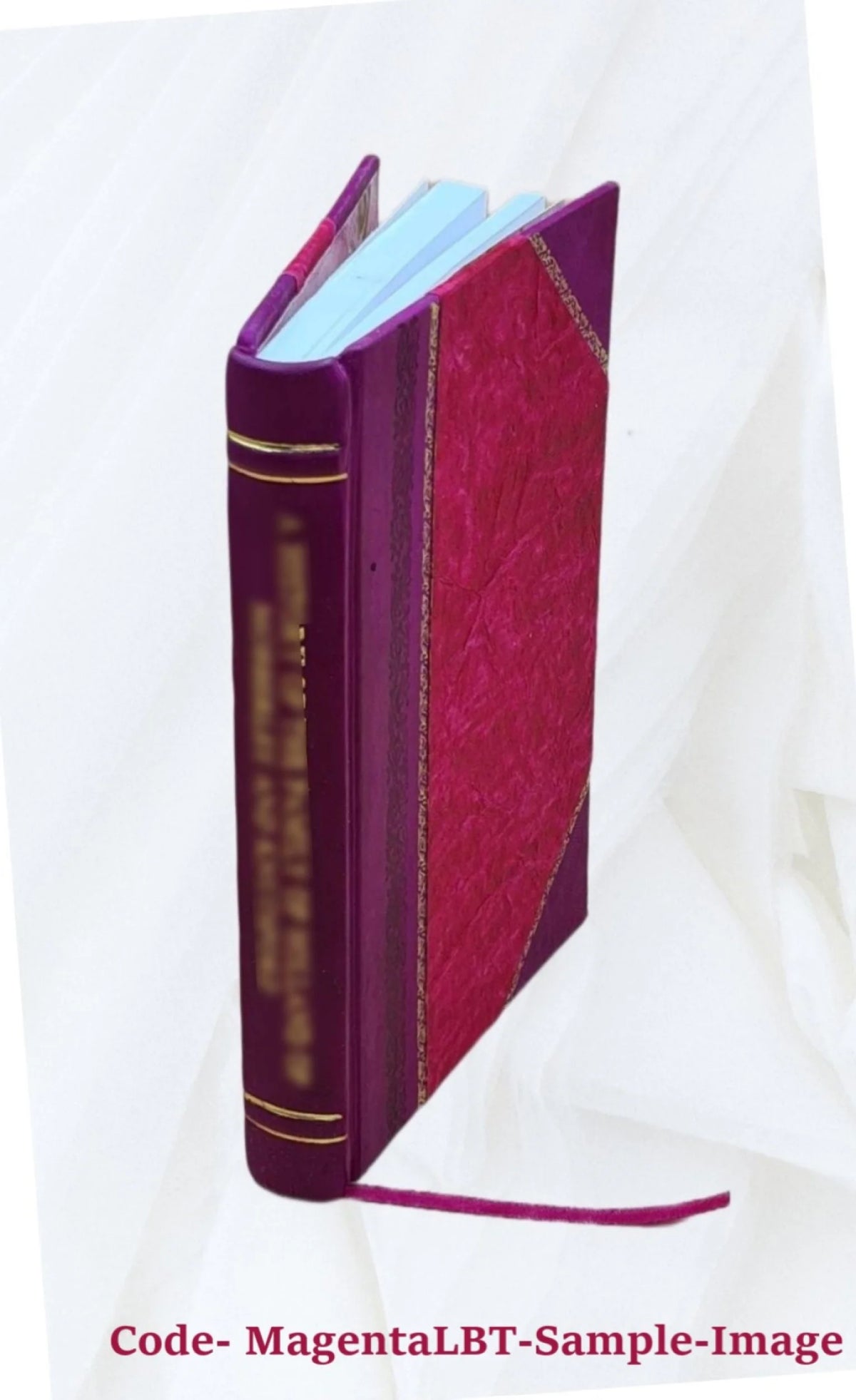 Leather Bound P99101