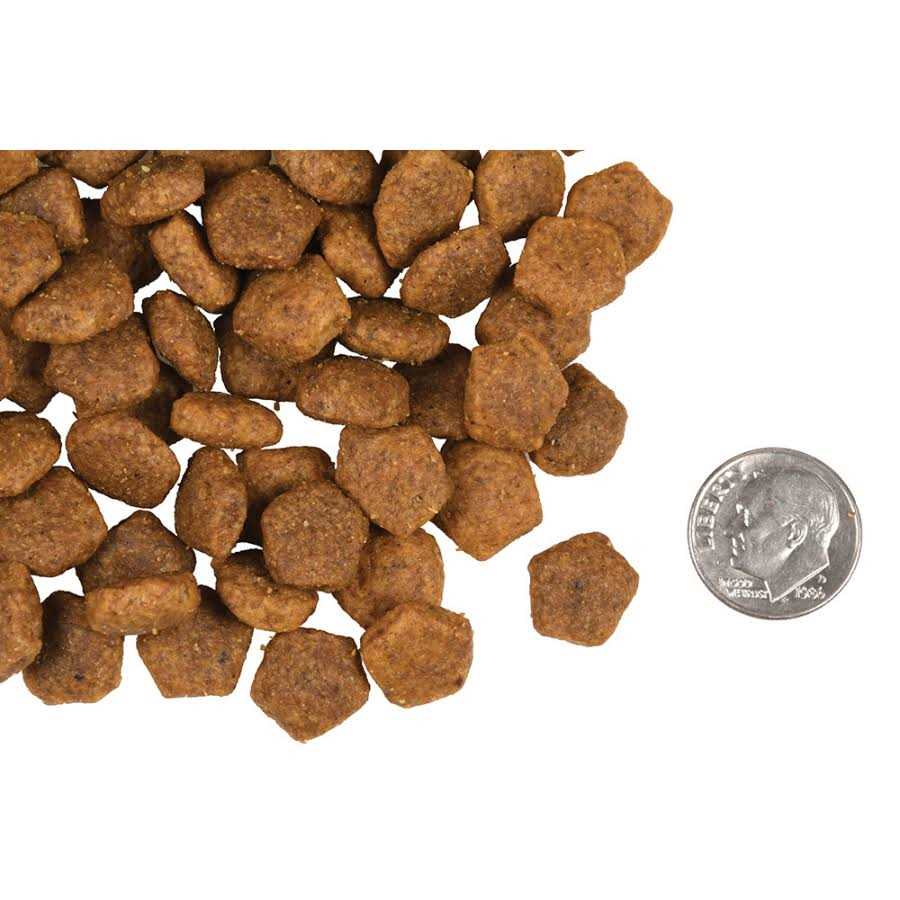 Adult Dog Food E63404