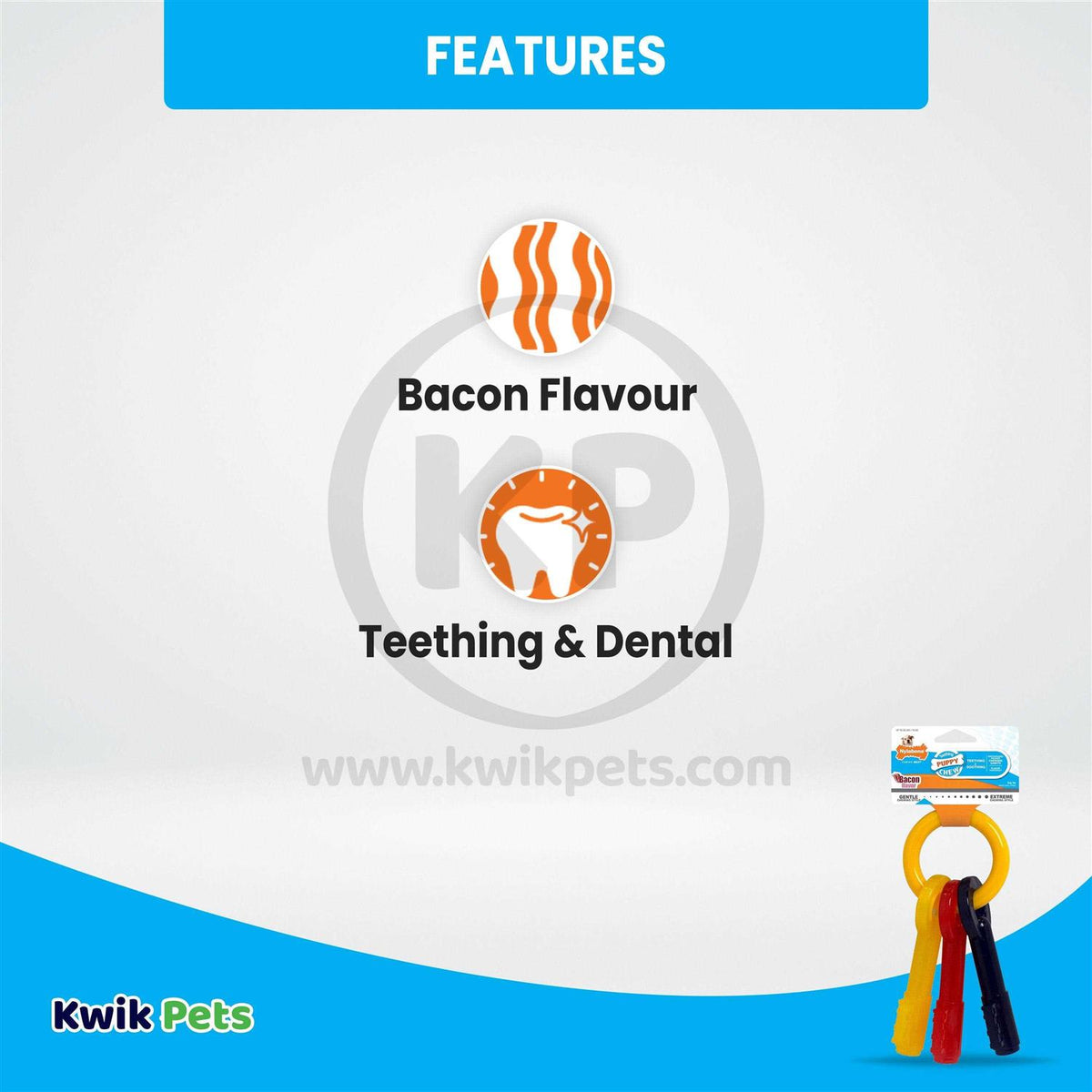 Puppy Chew Teething Keys V7994