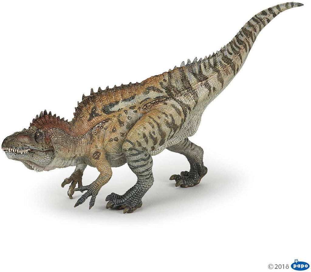 Dinosaurs Gift Set F394