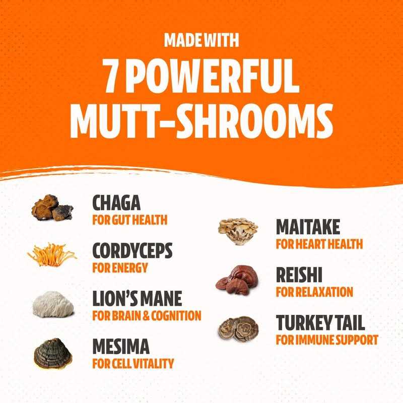 Organic Mushroom Complex for Dogs P41631