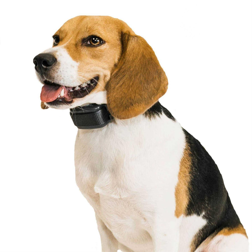 Bark Collar X1789