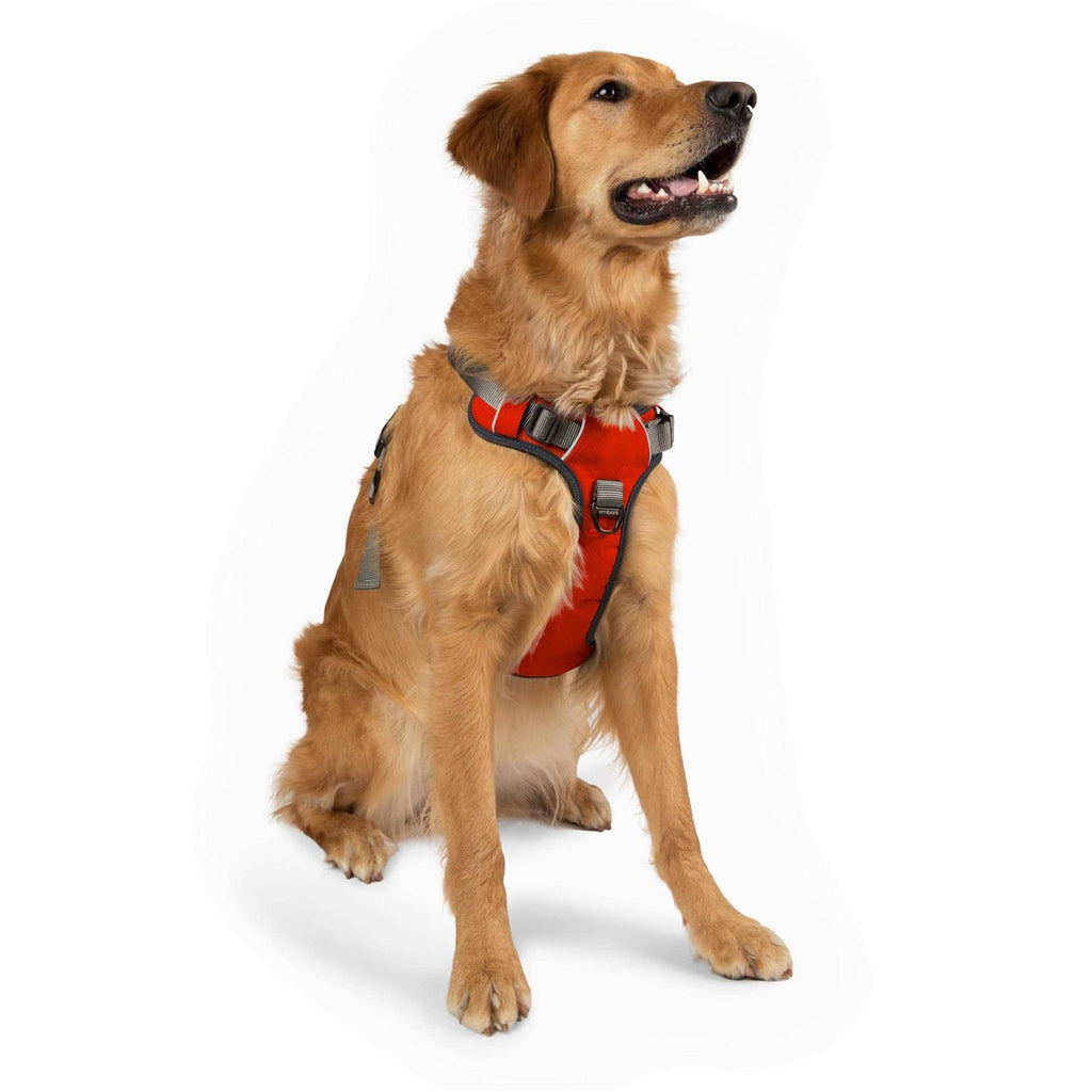 Dog Harness Leash N560