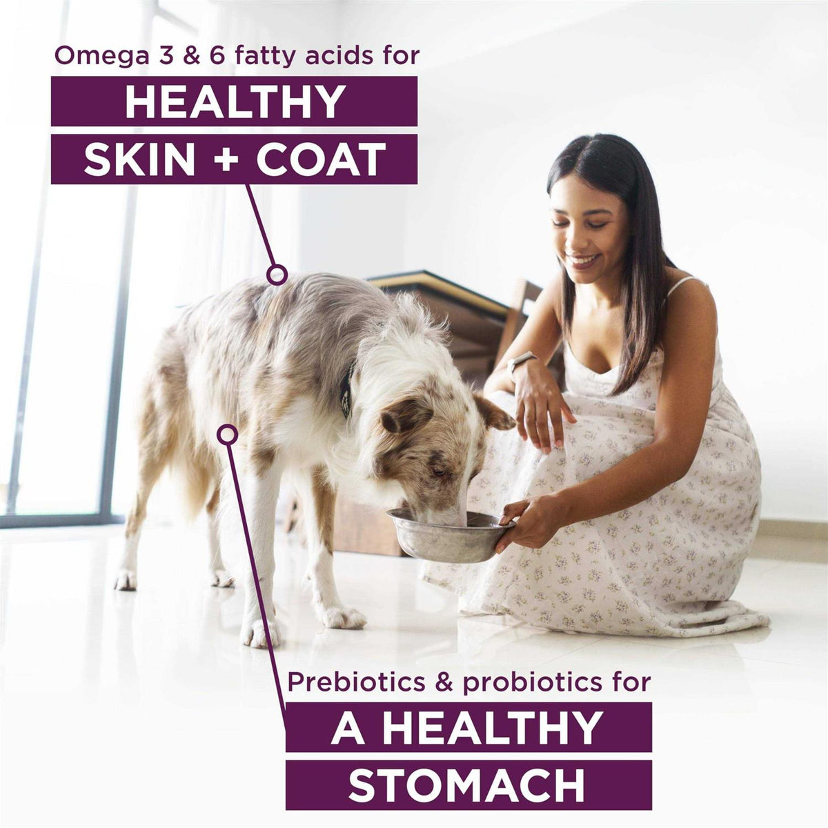 Pet Food All Life Stages Special Diet G187