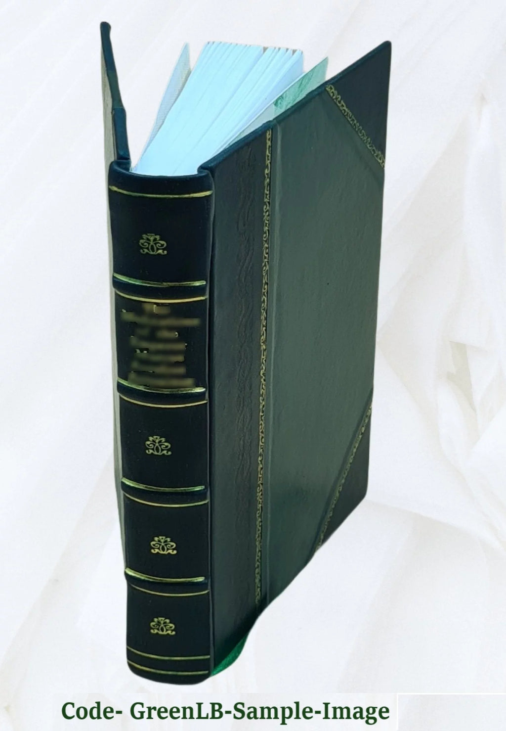 Leather Bound Book H48338