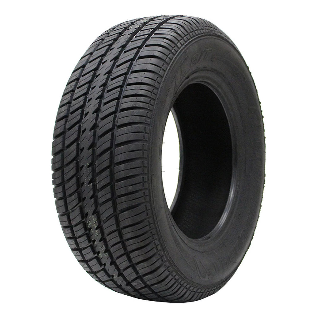 All Season P225/70R15 100T Passenger Tire N56121